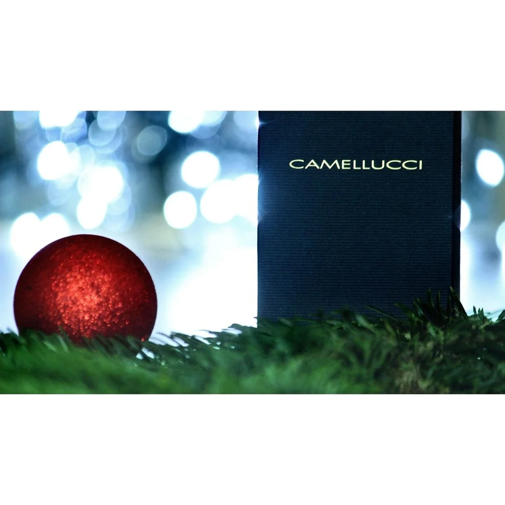 CAMELLUCCI Men's‎ Self-tied Big Butterfly Bow Tie Black Charmeuse 100%silk